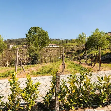 Charming House Fornos + Pool Vakantiehuis