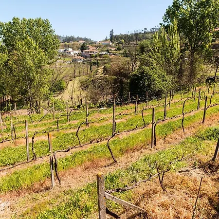 Charming House Fornos + Pool Fornos (Aveiro)