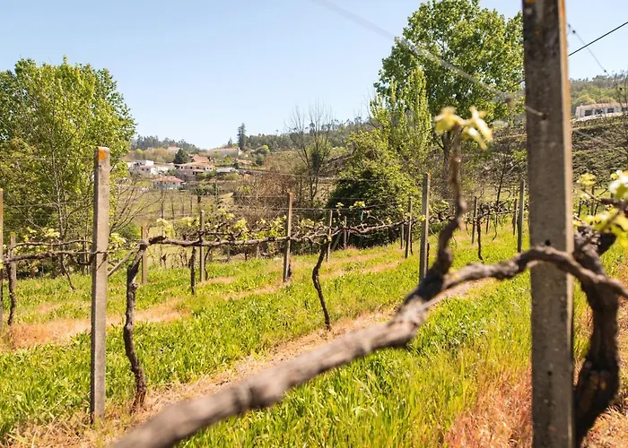 Charming House Fornos + Pool Hébergement de vacances *