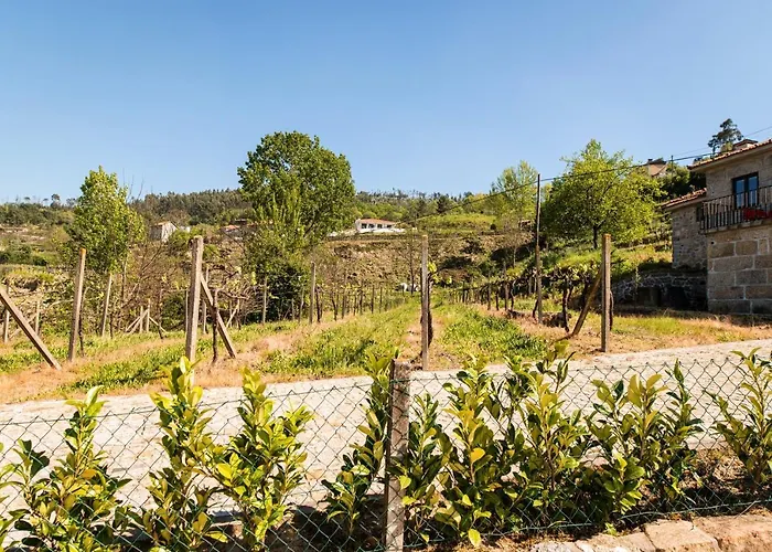 Charming House Fornos + Pool 度假居