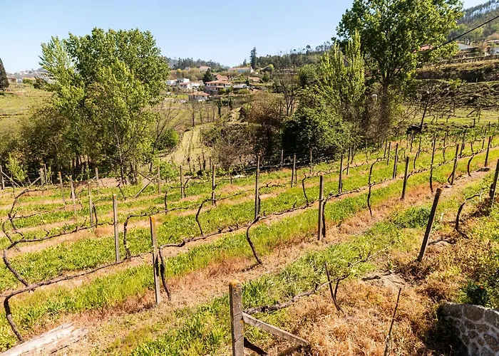Charming House Fornos + Pool Fornos (Aveiro)